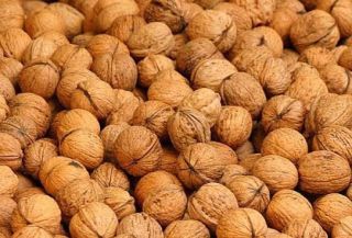 Kdo chces nevylopané vlašáčky? Věnuji 😊😊